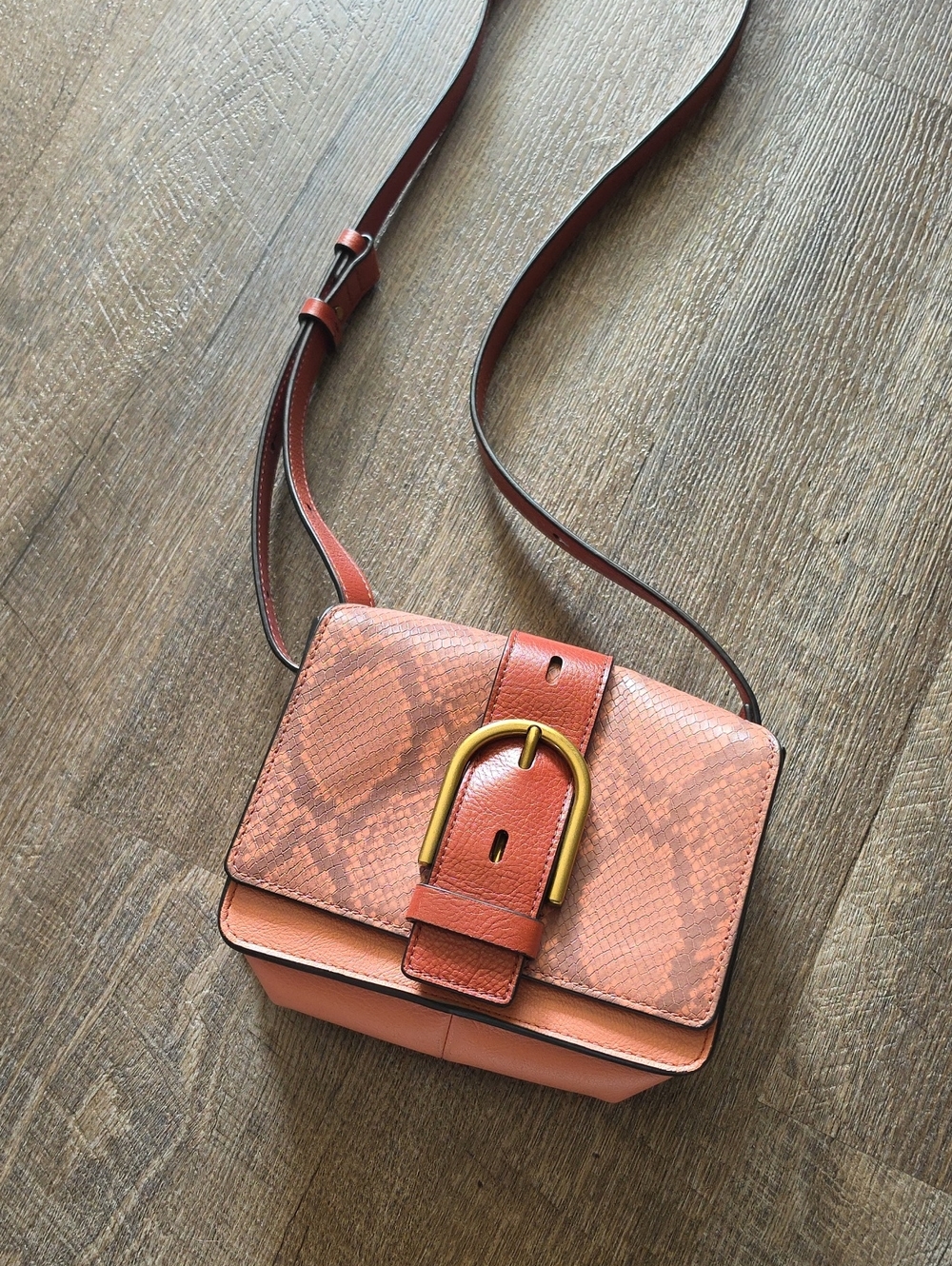 Fossil Coral Snake-Embossed Crossbody with Gold Buckle